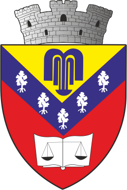 Stema orașului