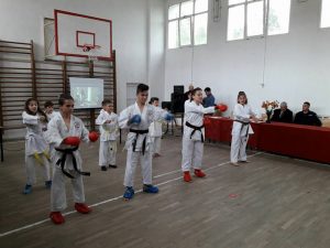 Ziua liceului - 2017