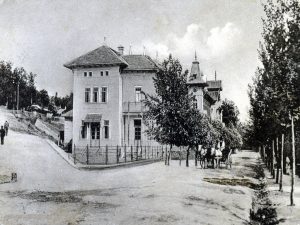 Vila Dr. Taranu