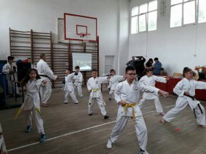 Ziua liceului - 2017