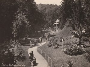 Vedere din parc