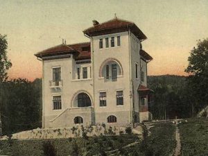 Vila Iliescu - fost sediu al casei de cultură