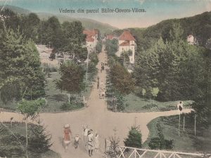 Vedere din parc