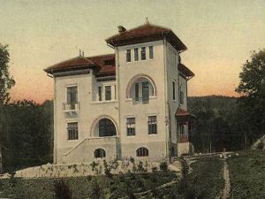 Vila Iliescu