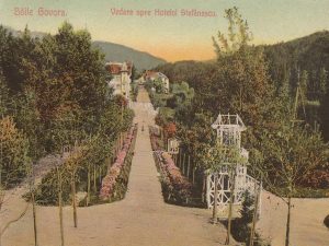 Vedere din parc