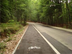 Pista downhill